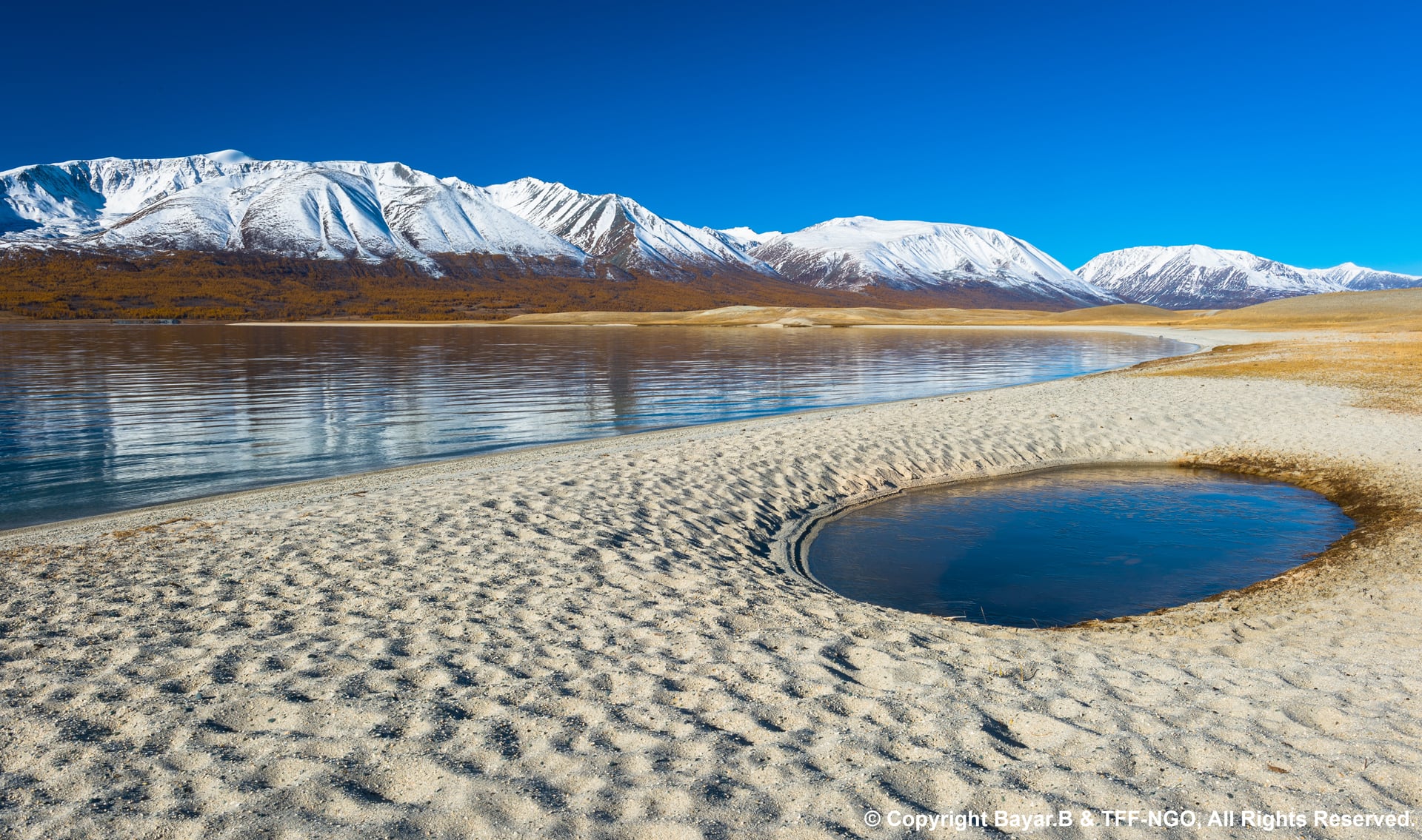 Mongolian steppe at golden hour